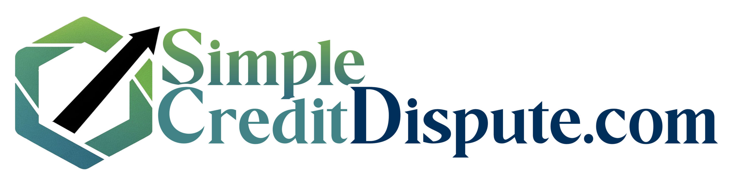 Simple Credit Dispute